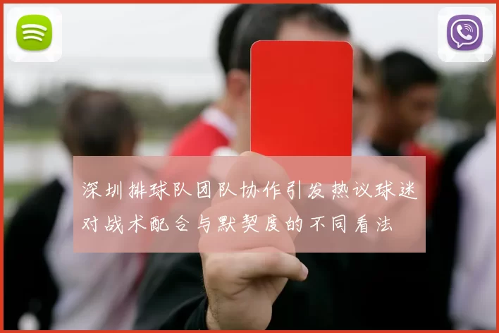 深圳排球队团队协作引发热议球迷对战术配合与默契度的不同看法