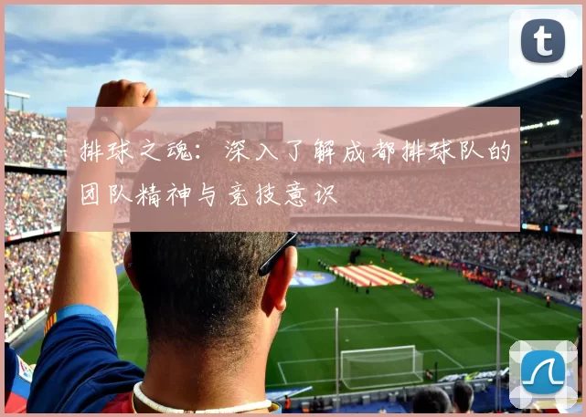 排球之魂：深入了解成都排球队的团队精神与竞技意识