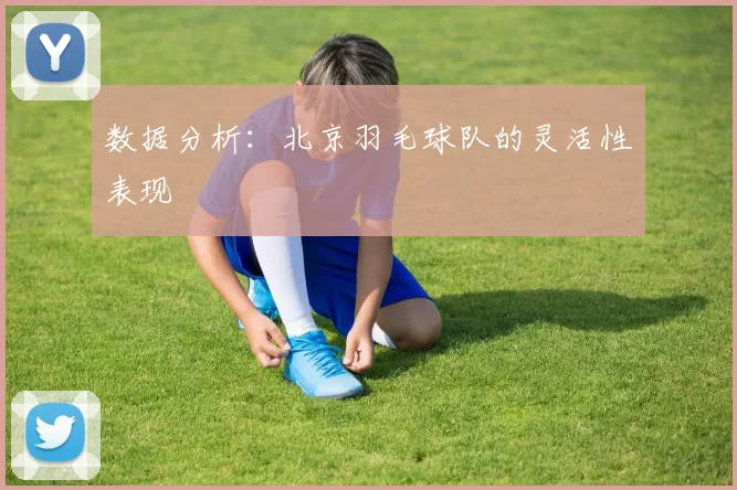 数据分析：北京羽毛球队的灵活性表现